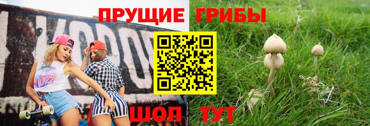 Жуковский  Галлюциногенные грибы MAGIC MUSHROOMS  Вход с VPN 