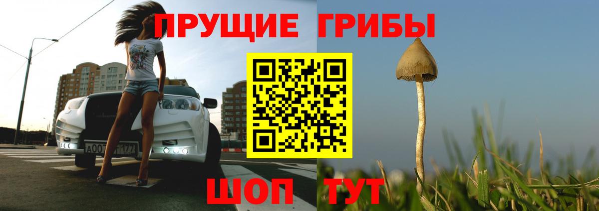 Псилоцибиновые грибы ЛСД Жуковский